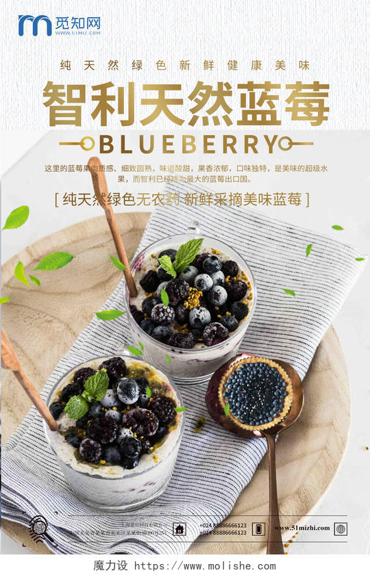 蓝色天然智利水果新鲜蓝莓海报